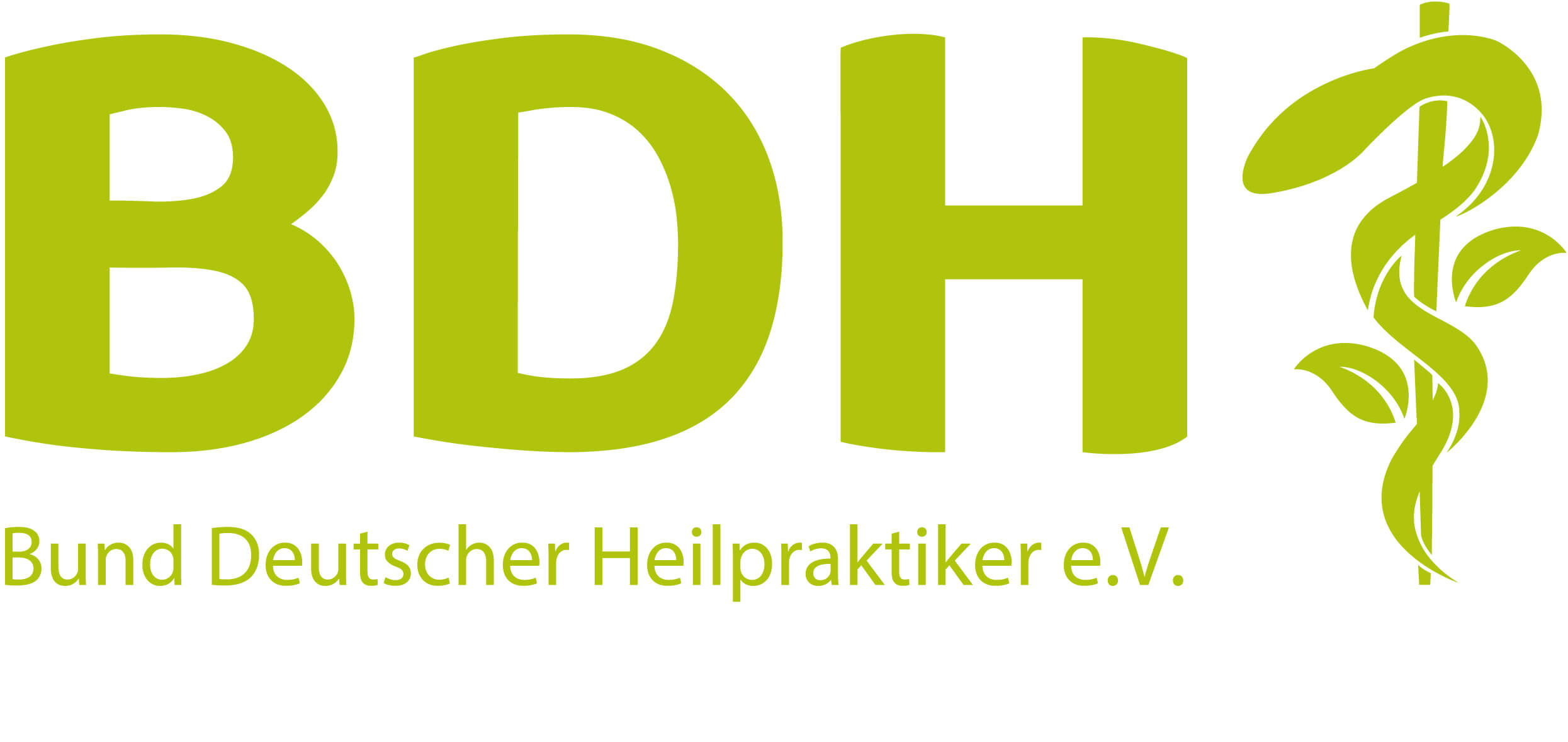 Website Berufsverband Bund Deutscher Heilpraktiker e.V.